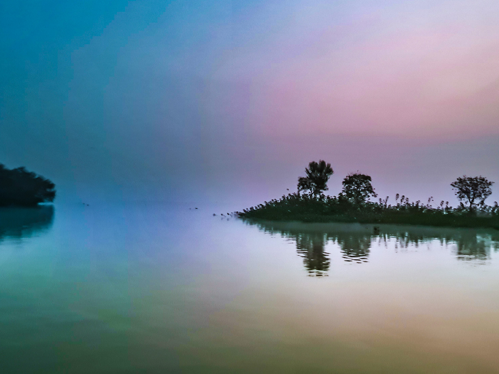 MorningCover